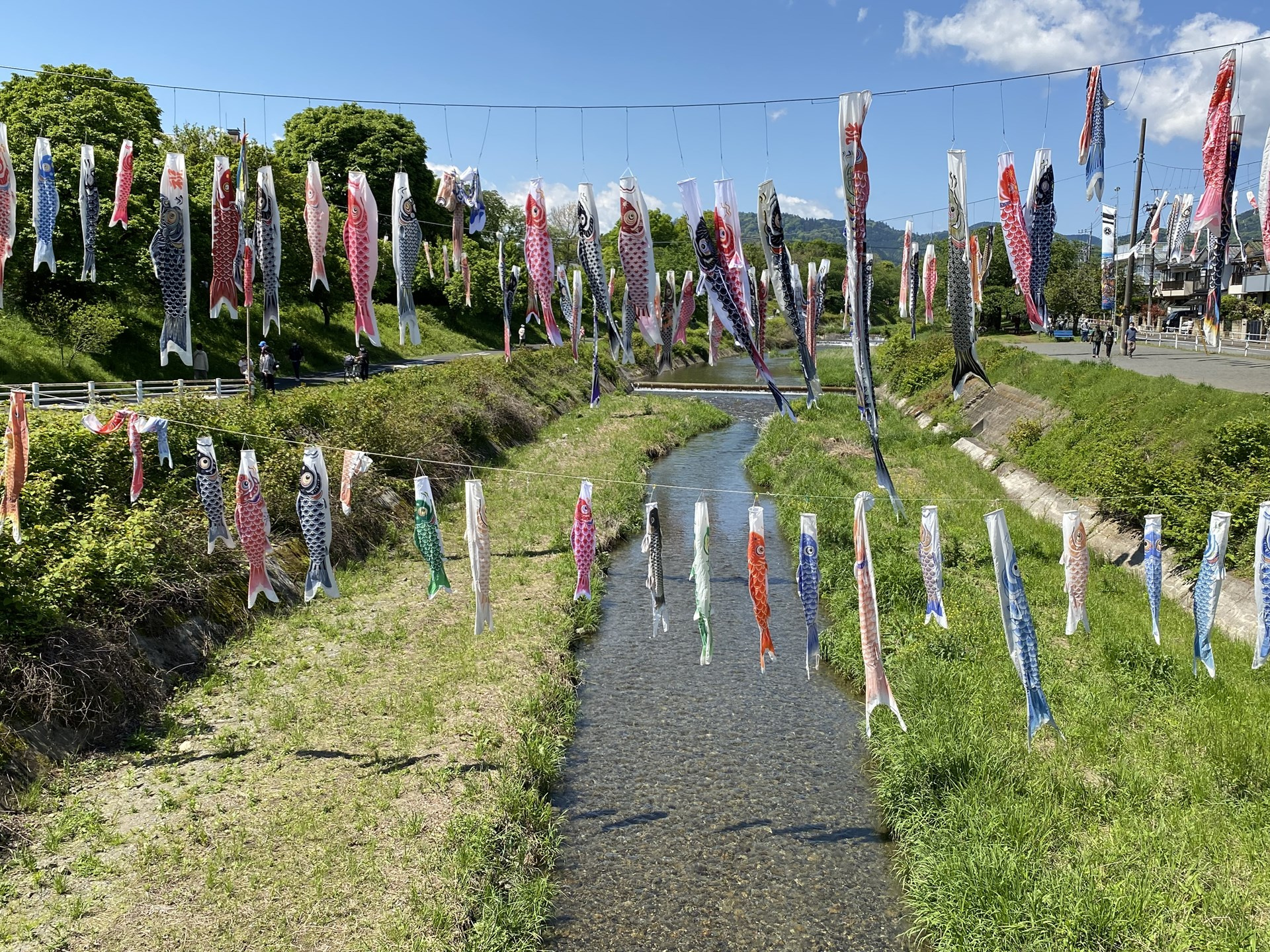 八王子の空を泳ぐ「南浅川こいのぼり」の画像