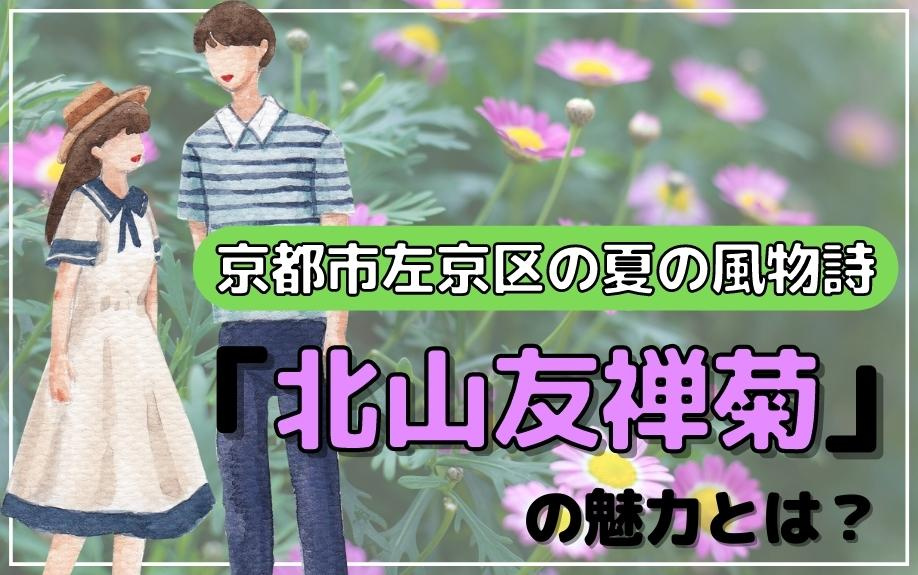 京都市左京区の夏の風物詩「北山友禅菊」の魅力とは？の画像