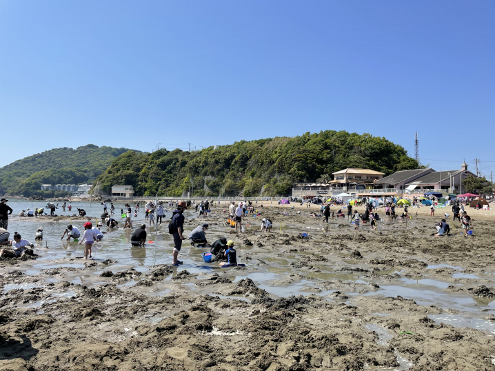 潮干狩りの画像