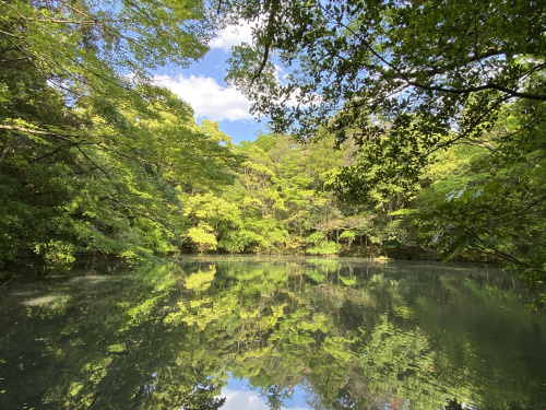 お伊勢さんの画像