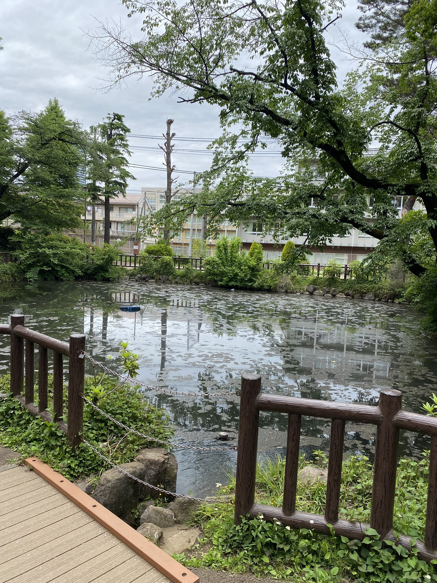 山あり池あり、人が集まる「六本杉公園」の画像