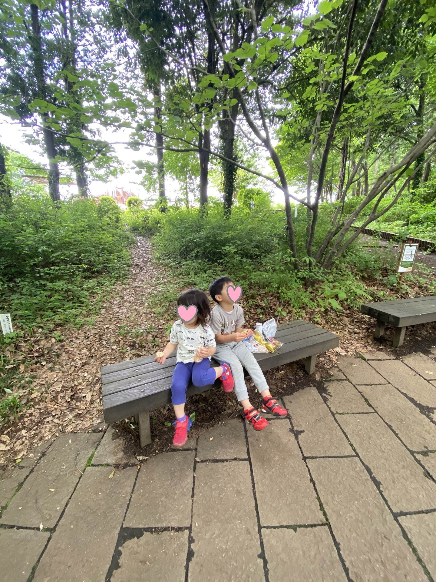 週末の定番　公園のハシゴの画像