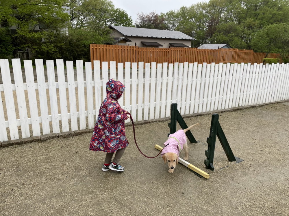 「【キャンプ中編】部長桑山」の画像