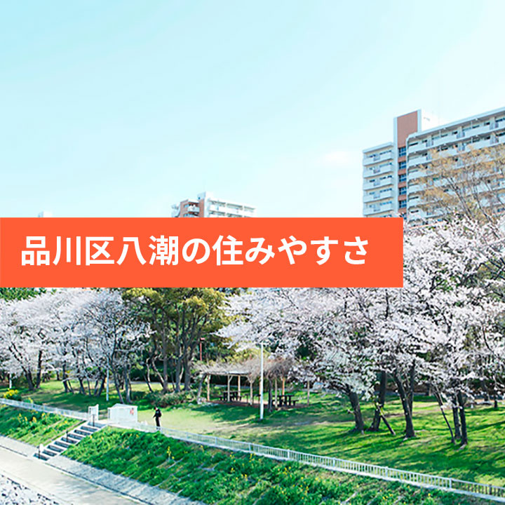 マイナーだが住心地は？品川区の孤島「八潮」の画像