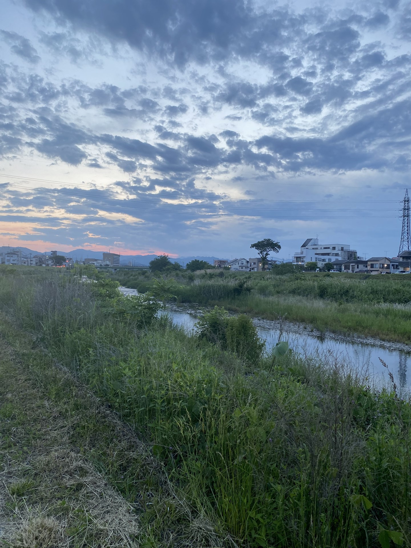 日が長くなりました　「今日の浅川」の画像