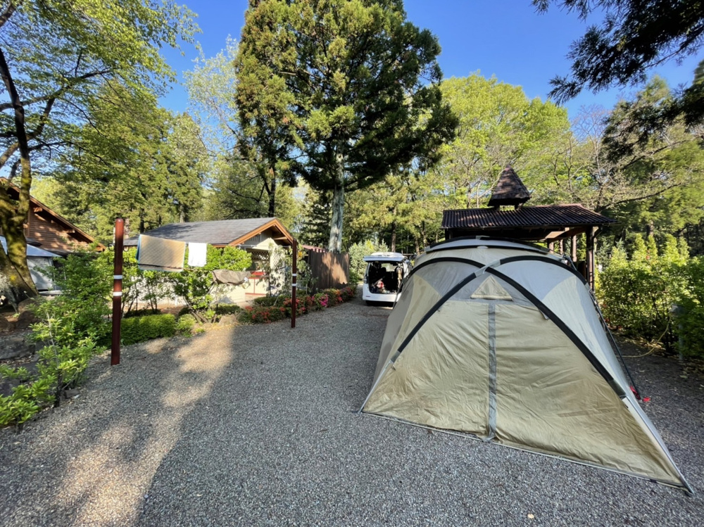 「【キャンプ後編】部長桑山」の画像