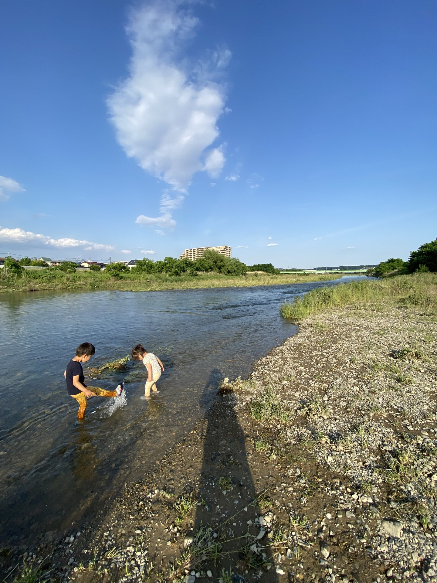 見事な晴天「今日の浅川」の画像