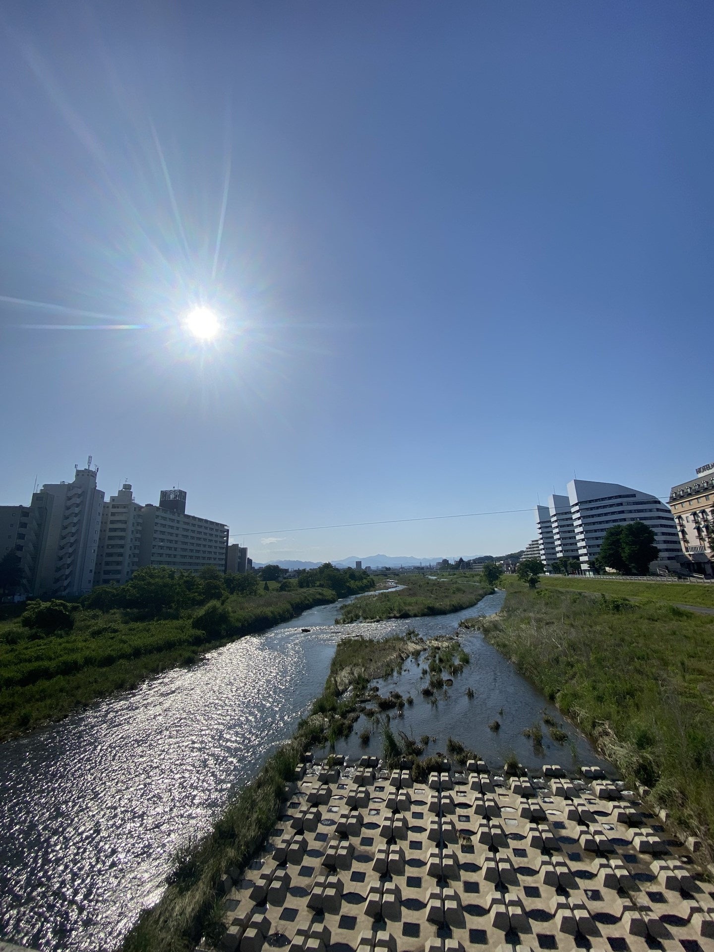 八王子は最高だ「今日の浅川」の画像