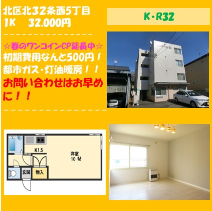 春のワンコインキャンペーン延長中！！の画像