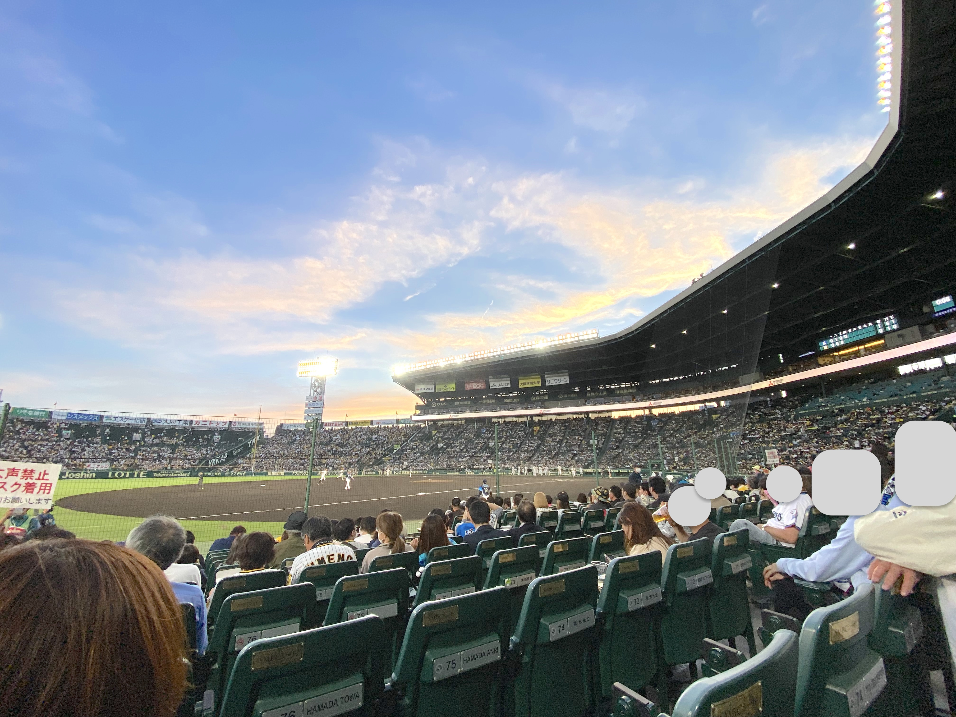 阪神甲子園球場の画像