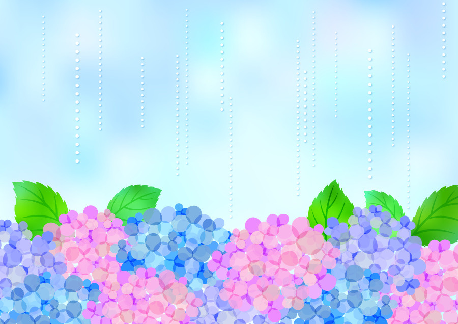 梅雨の画像