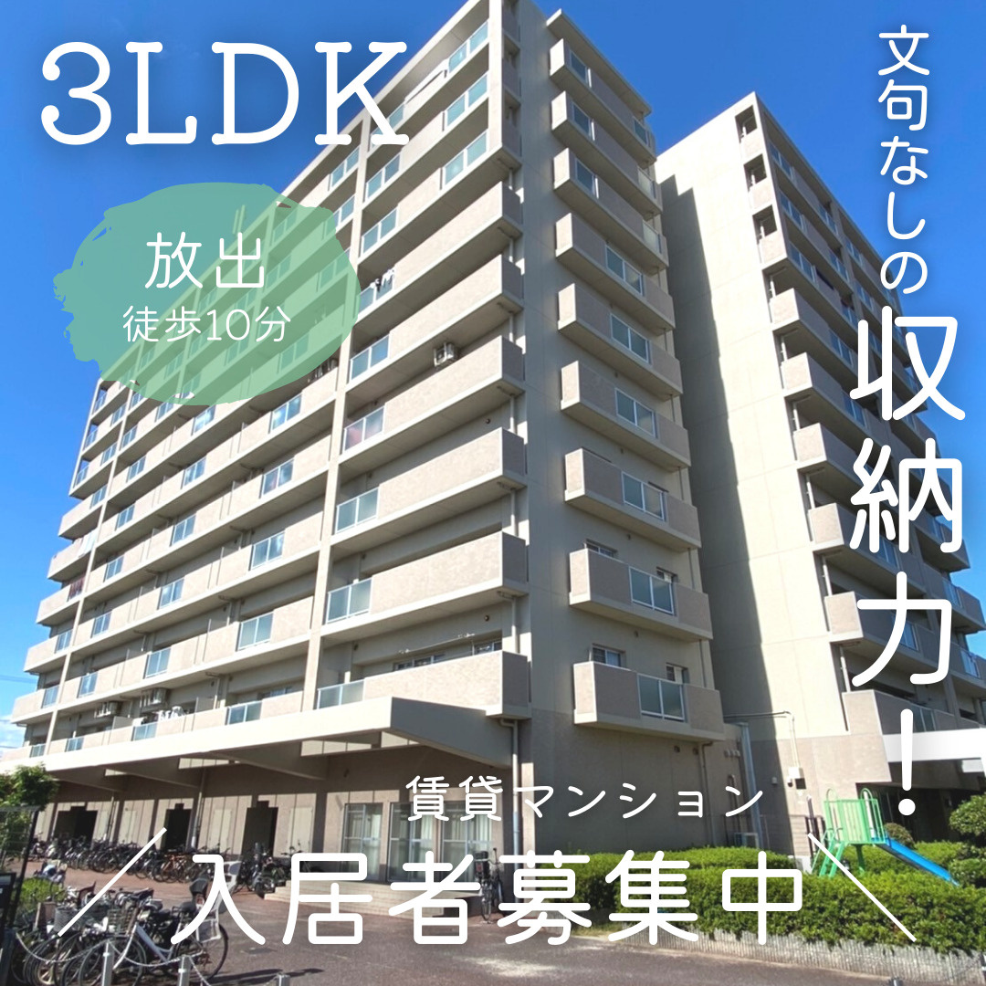 文句なしの収納力！【デイブレイク城東】空き情報の画像