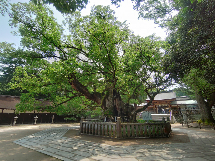大山祇神社（大三島）参拝してきました。の画像