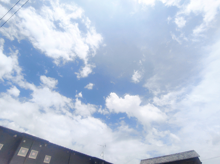 見上げた空は青かった。の画像