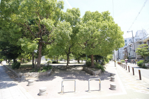 梅雨明け？（関西も梅雨明け）の画像