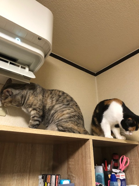 そうなるよねー。の画像