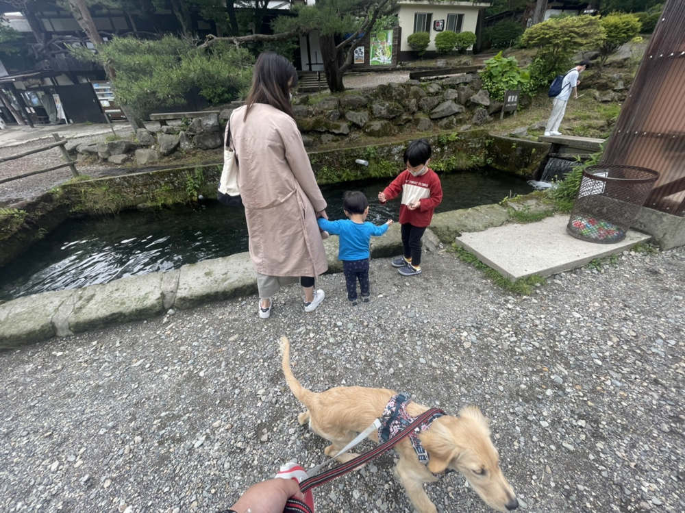 「【誕生日】部長桑山」の画像