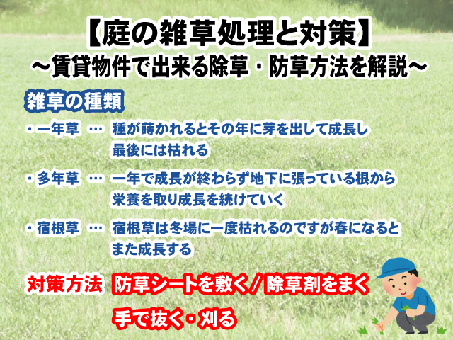【庭の雑草処理と対策】賃貸物件で出来る除草・防草方法を解説！の画像