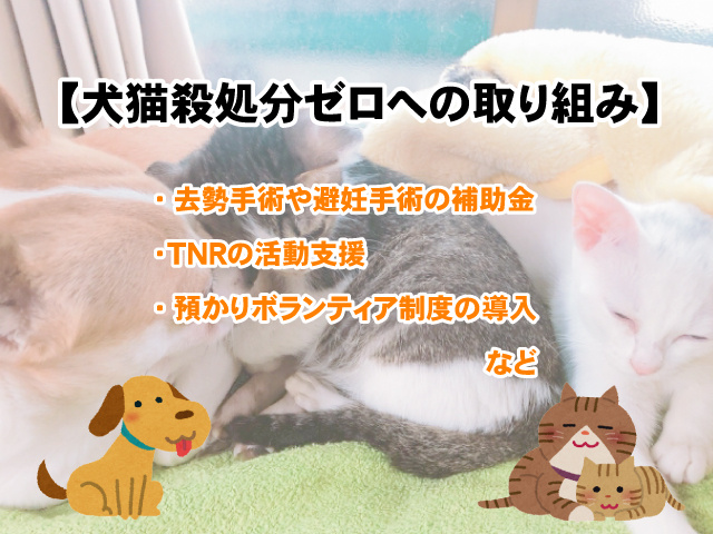 引越しに伴う飼い犬のストレス緩和方法は まずは4つの方法を試してみよう 賃貸のマサキ