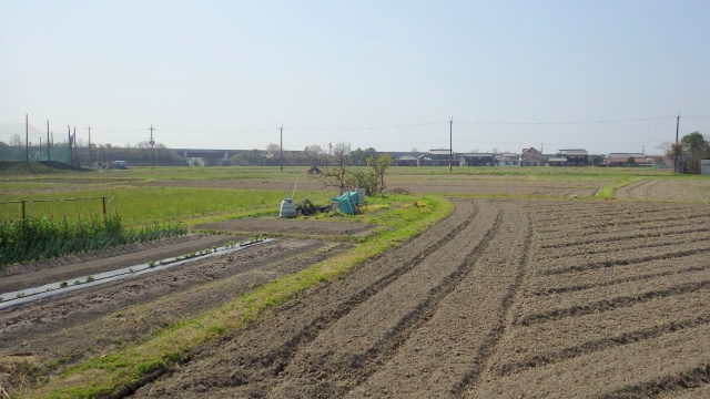 農地はなぜ売却しづらい？その理由や売却方法および売却にかかる...の画像