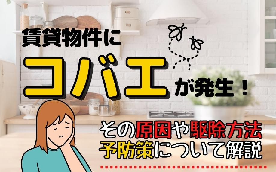 賃貸物件にコバエが発生！その原因や駆除方法・予防策について解...の画像