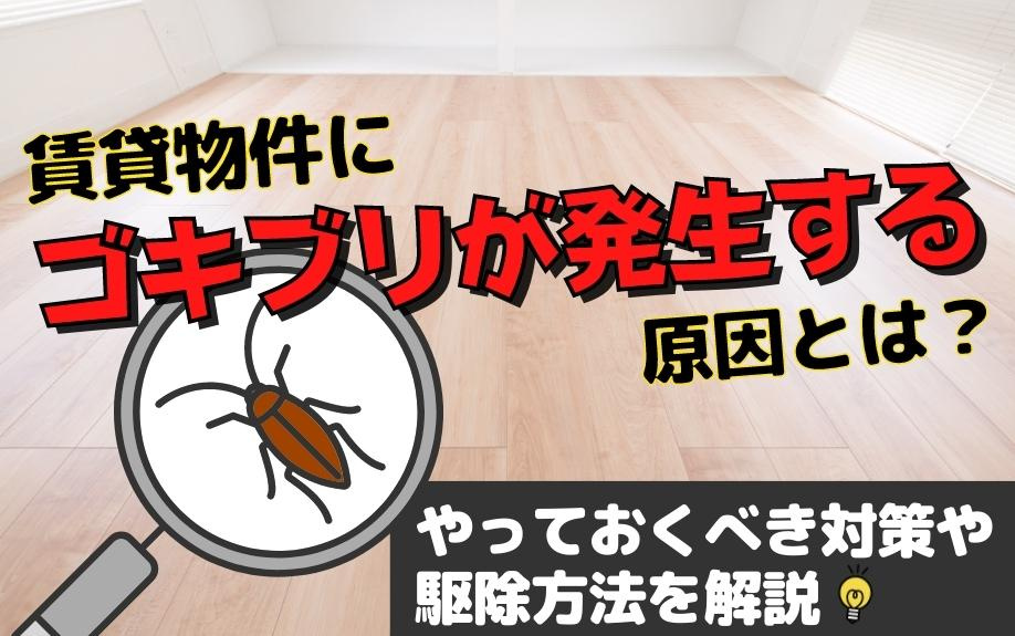賃貸物件にゴキブリが発生する原因とは？やっておくべき対策や駆...の画像