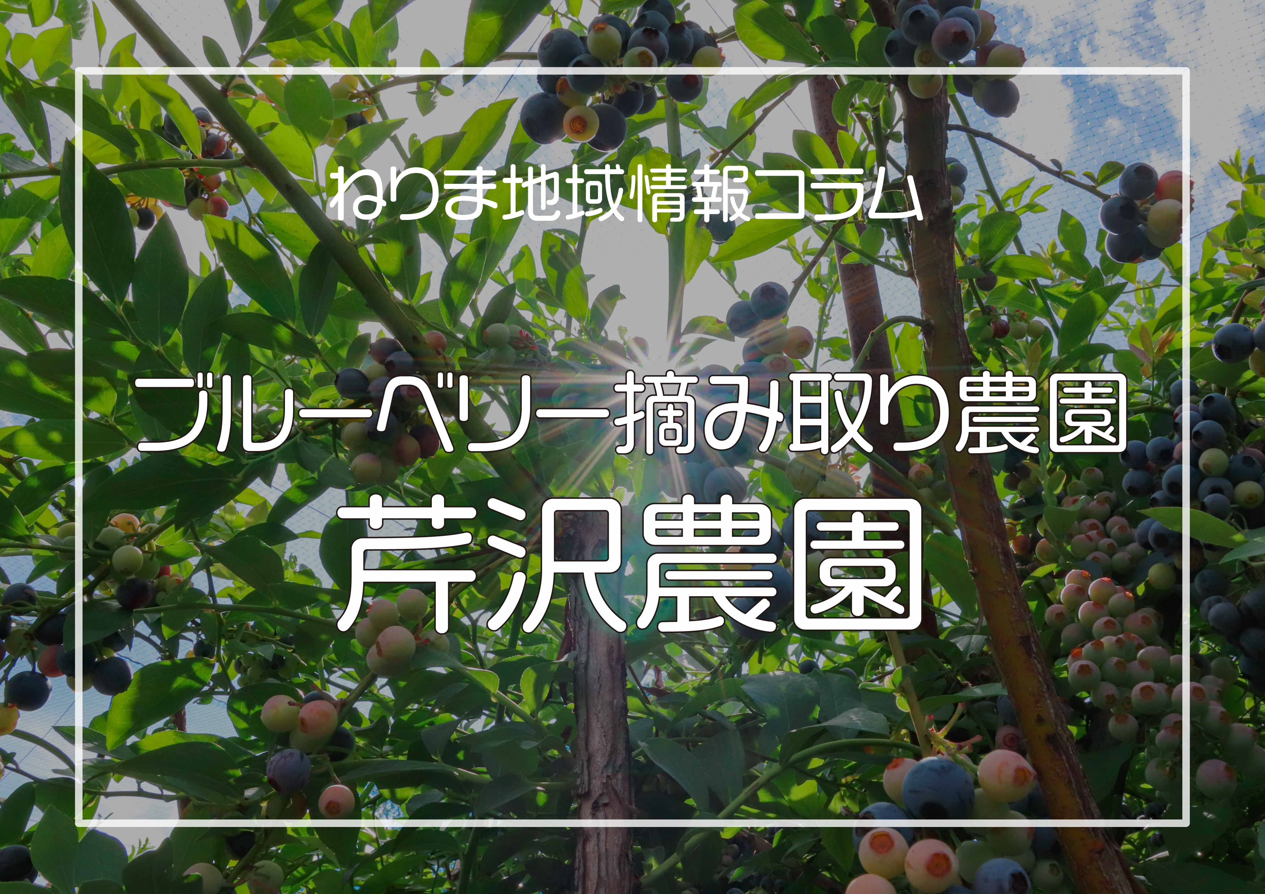 練馬の味覚を狩る！の画像