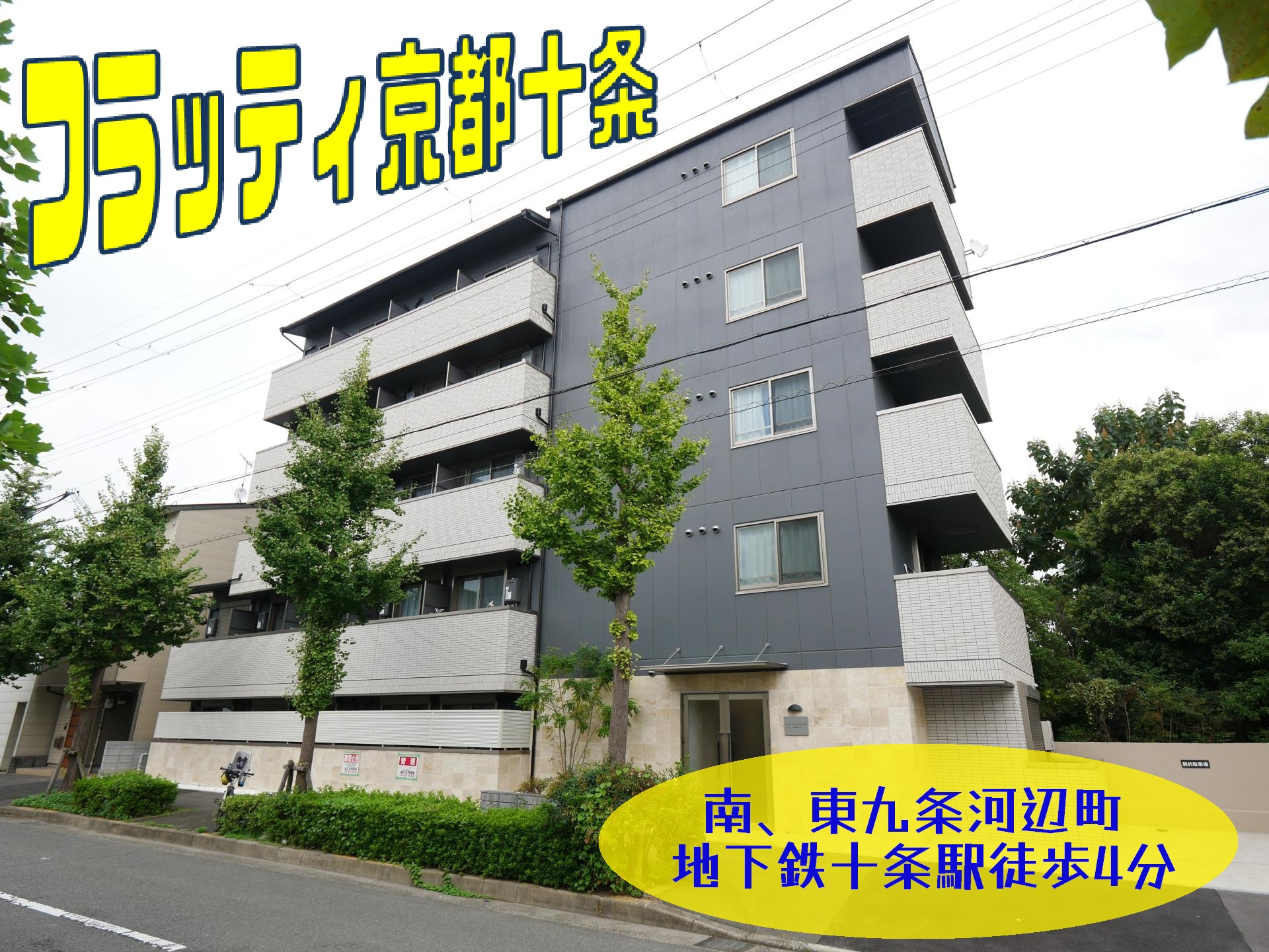 南区十条エリア♪の画像