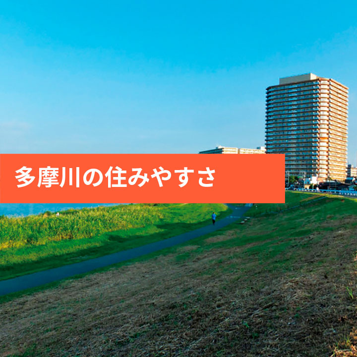 多摩川周辺の治安やエリア情報などの画像