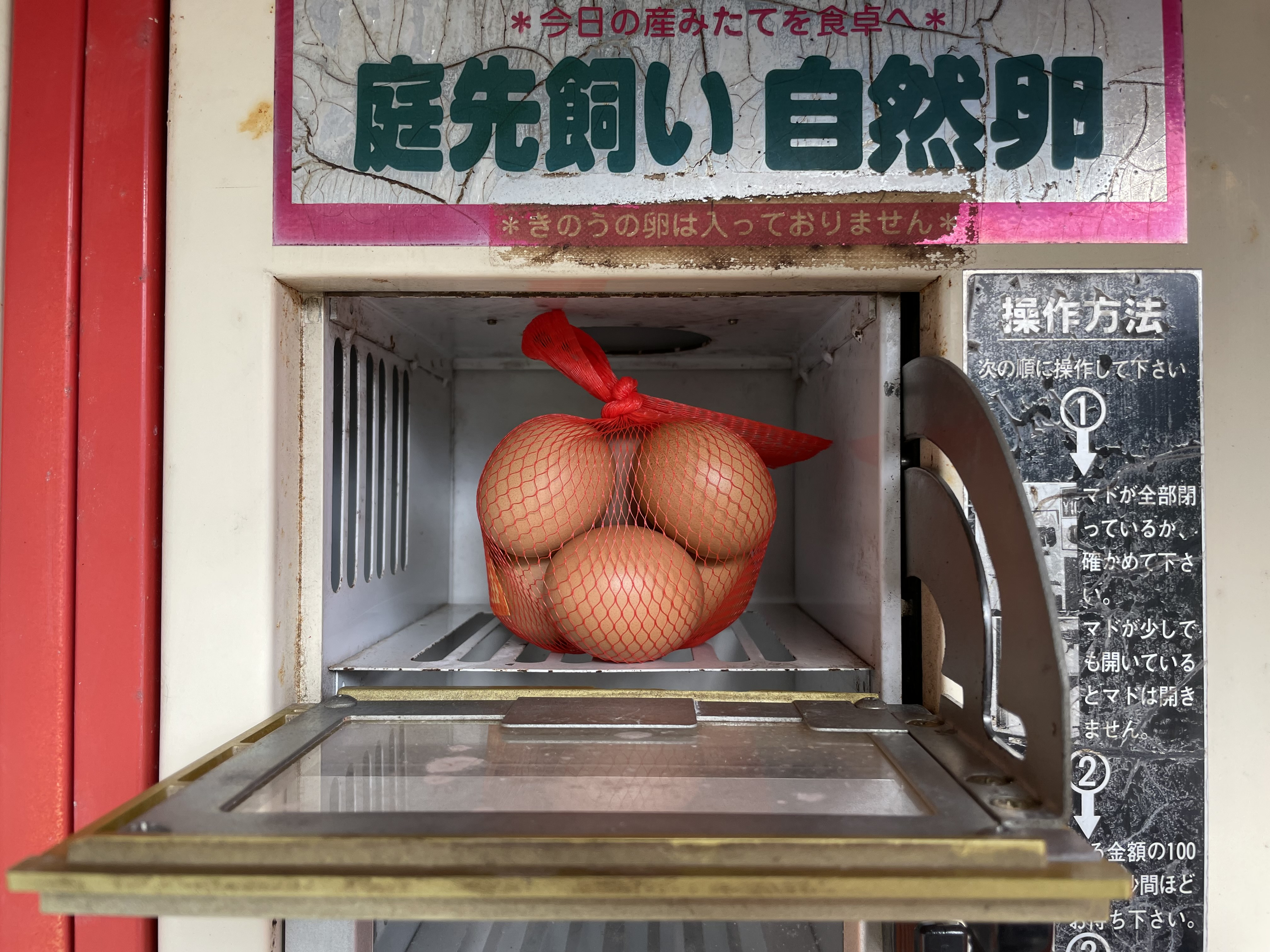大洲市　平飼いのうみたてたまごの画像
