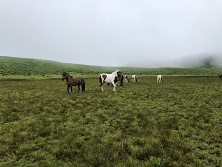 「久ぶりに」の画像