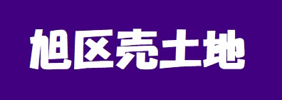 本日の新着情報‼の画像