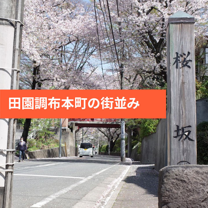 大田区田園調布本町の街の特徴や雰囲気の画像