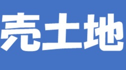 本日の新着情報‼の画像