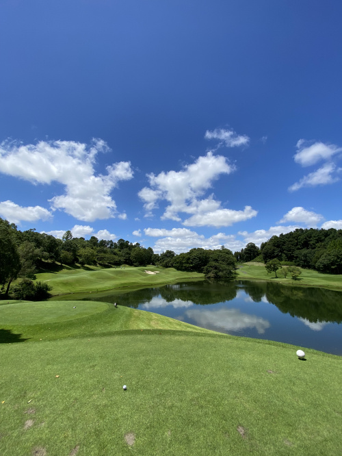 夏季休暇のお知らせの画像