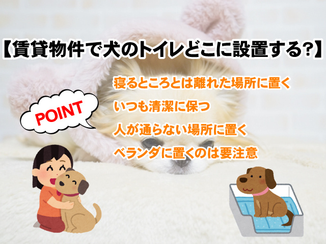 引越しに伴う飼い犬のストレス緩和方法は まずは4つの方法を試してみよう 賃貸のマサキ