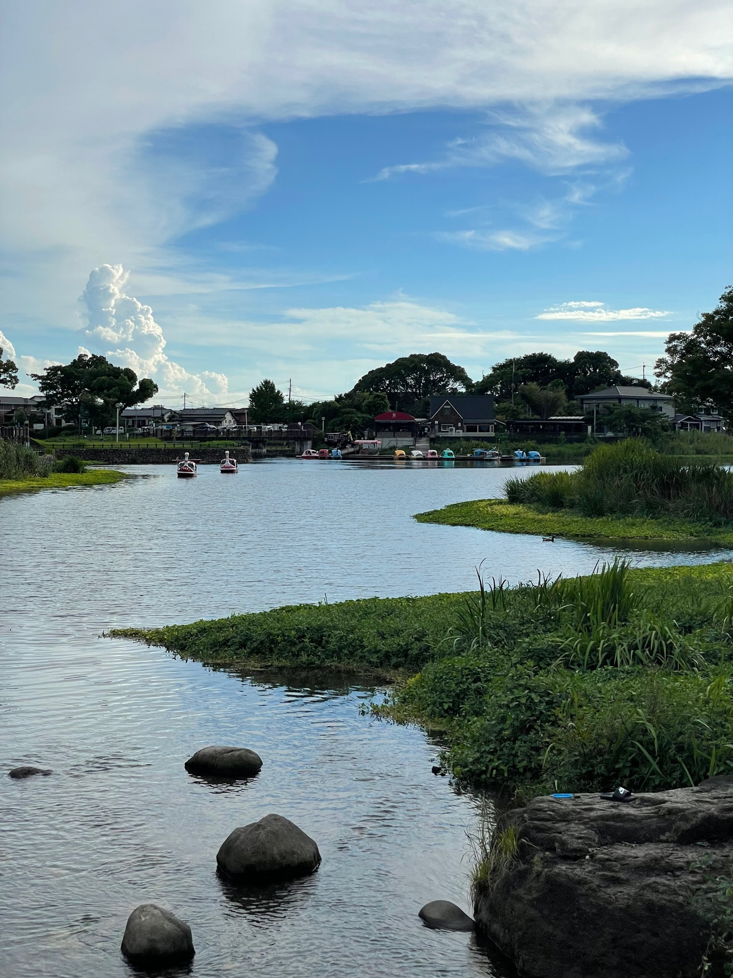 熊本市民のオアシス　水前寺江津湖公園の画像
