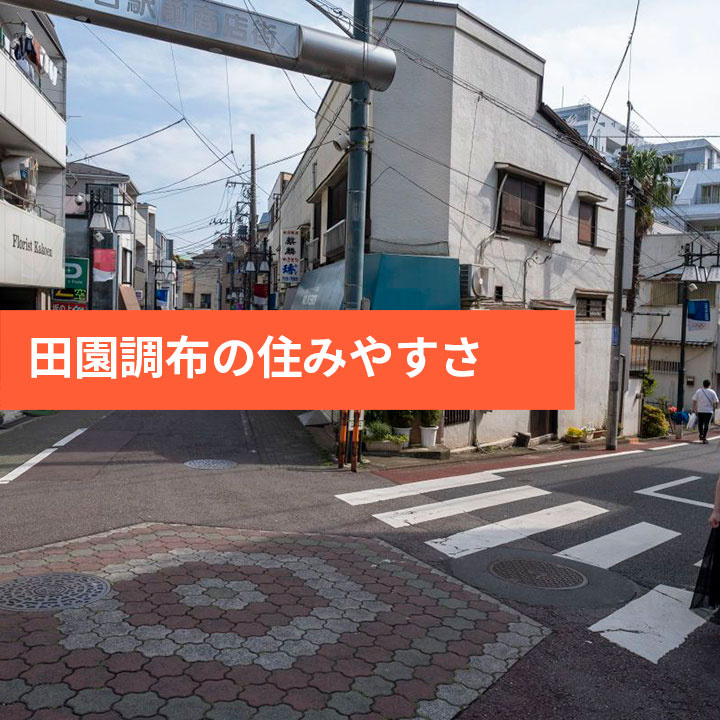 大田区東雪谷の住みやすさなどの画像