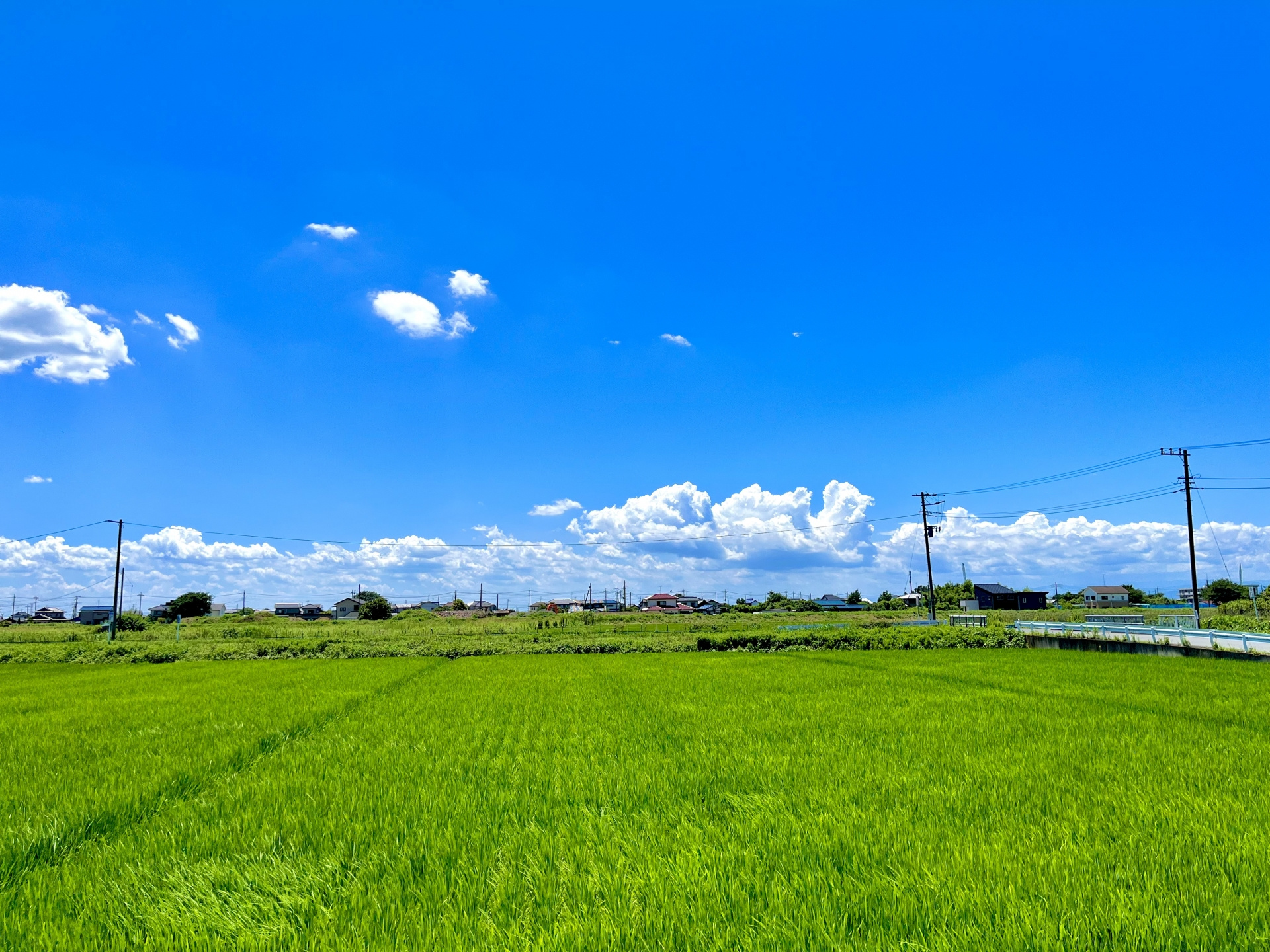 市街化調整区域とは？の画像