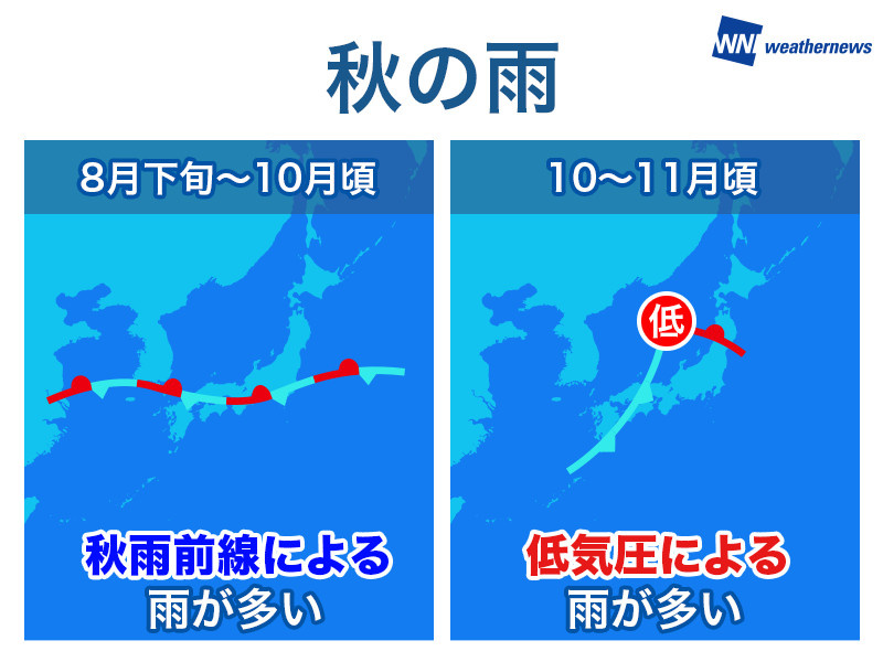 一雨一度の画像