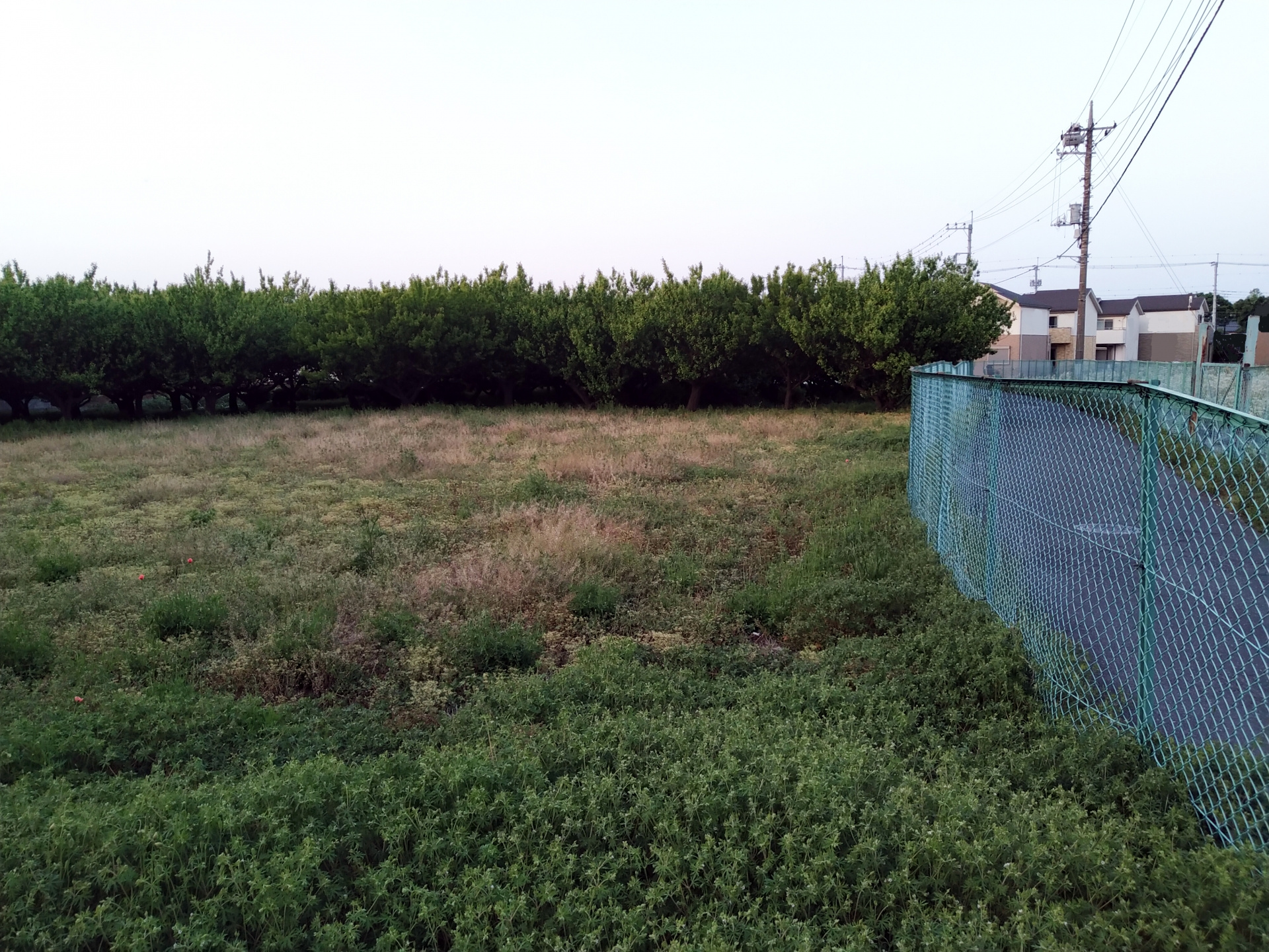  【市街化調整区域】入口が農地、奥が既存宅地　家は建てられま...の画像