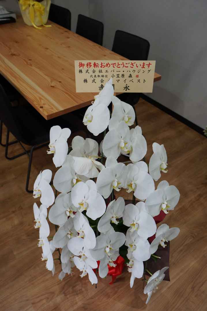 【御礼】移転祝い4弾！！の画像