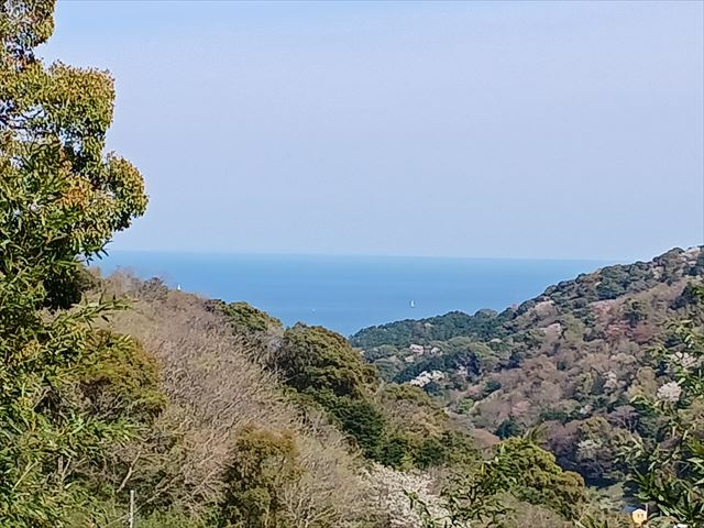 【成約情報】伊東市海峰苑別荘地の画像