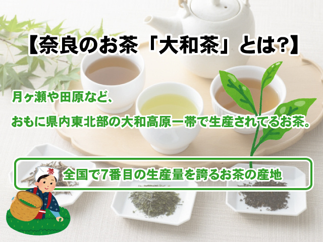 【奈良のお茶「大和茶」とは？】お茶の文化や特徴についての画像