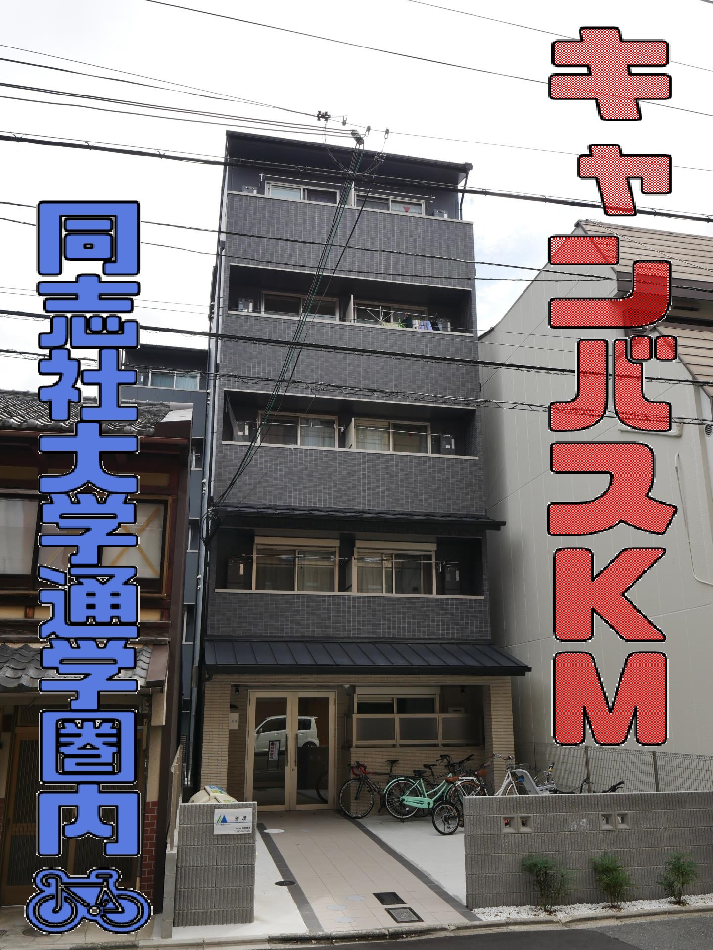 智恵光院エリア♪の画像