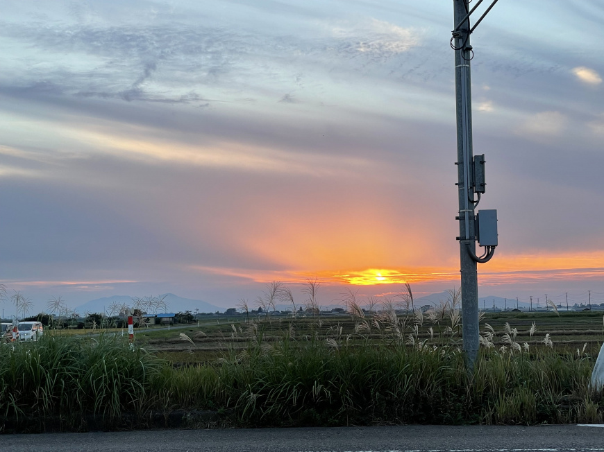 「夕日とススキ」の画像