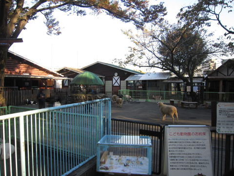 動物と触れ合える板橋こども動物公園への画像