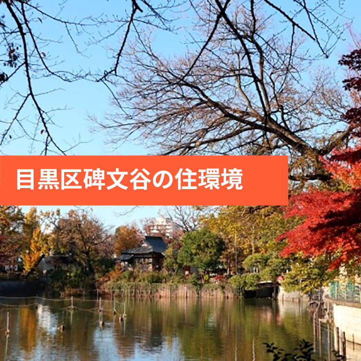 目黒区碑文谷周辺の住みやすさなどの画像
