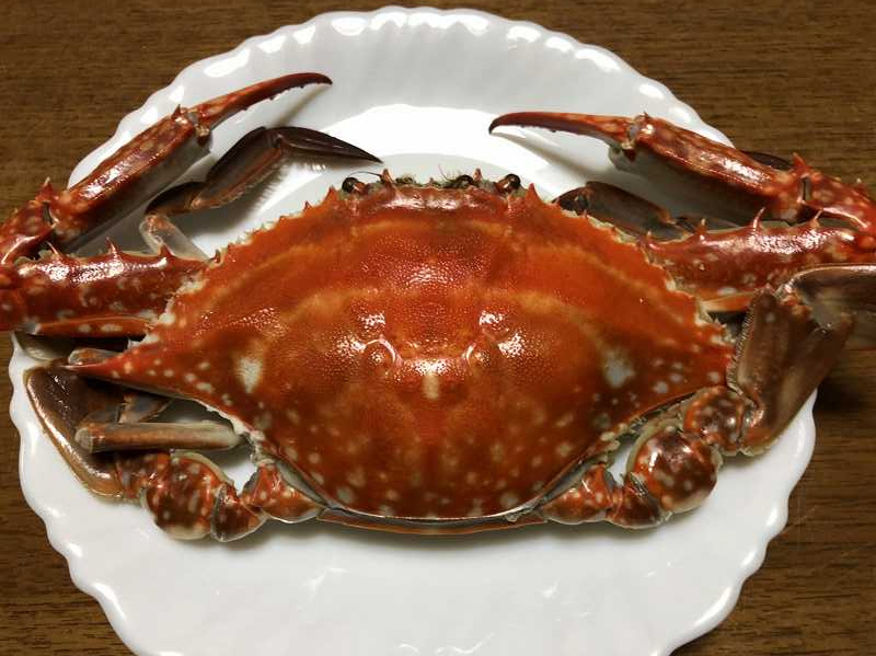 「竹崎カニ頂きました♪」の画像
