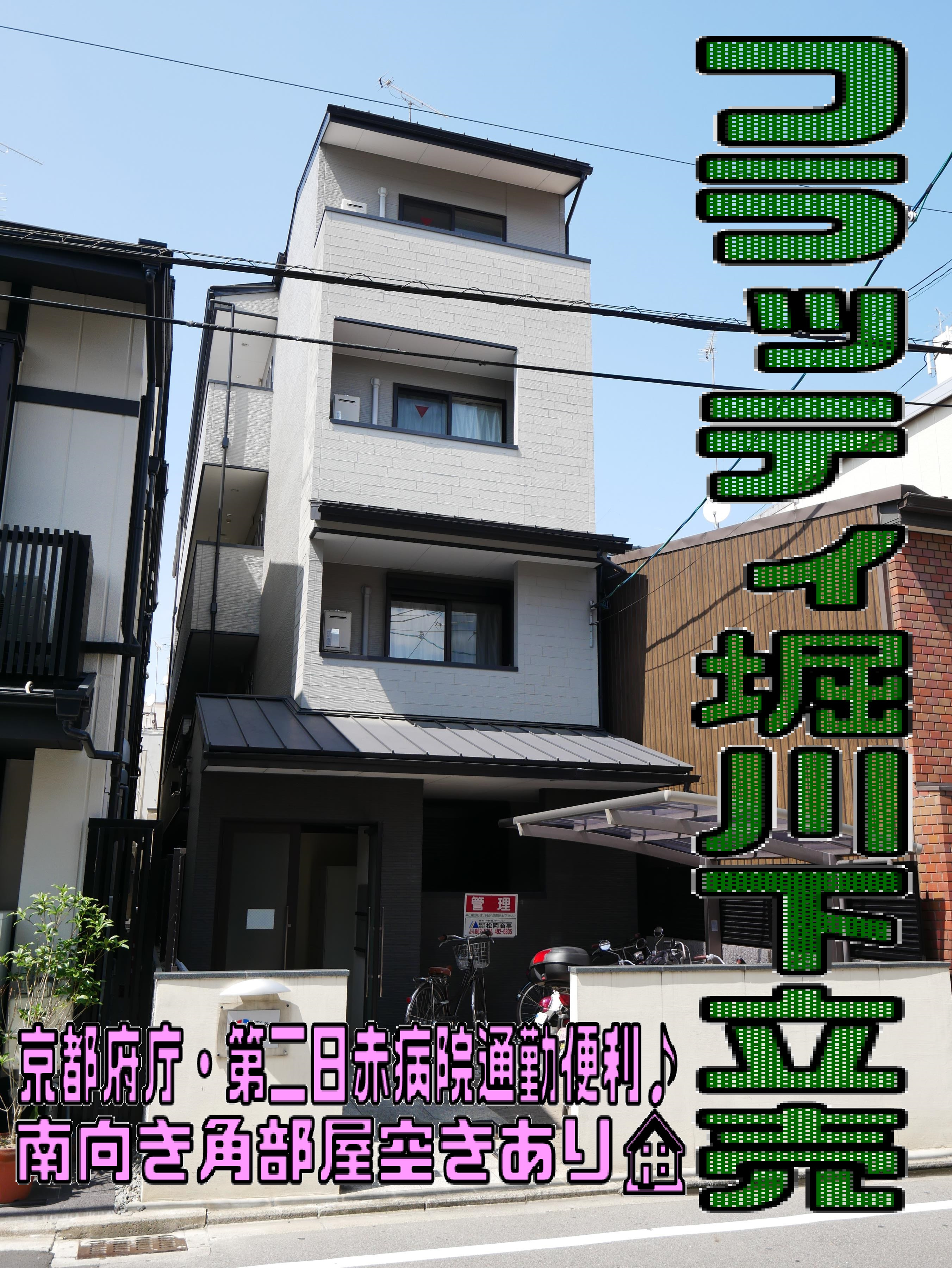 京都府庁エリア♪の画像